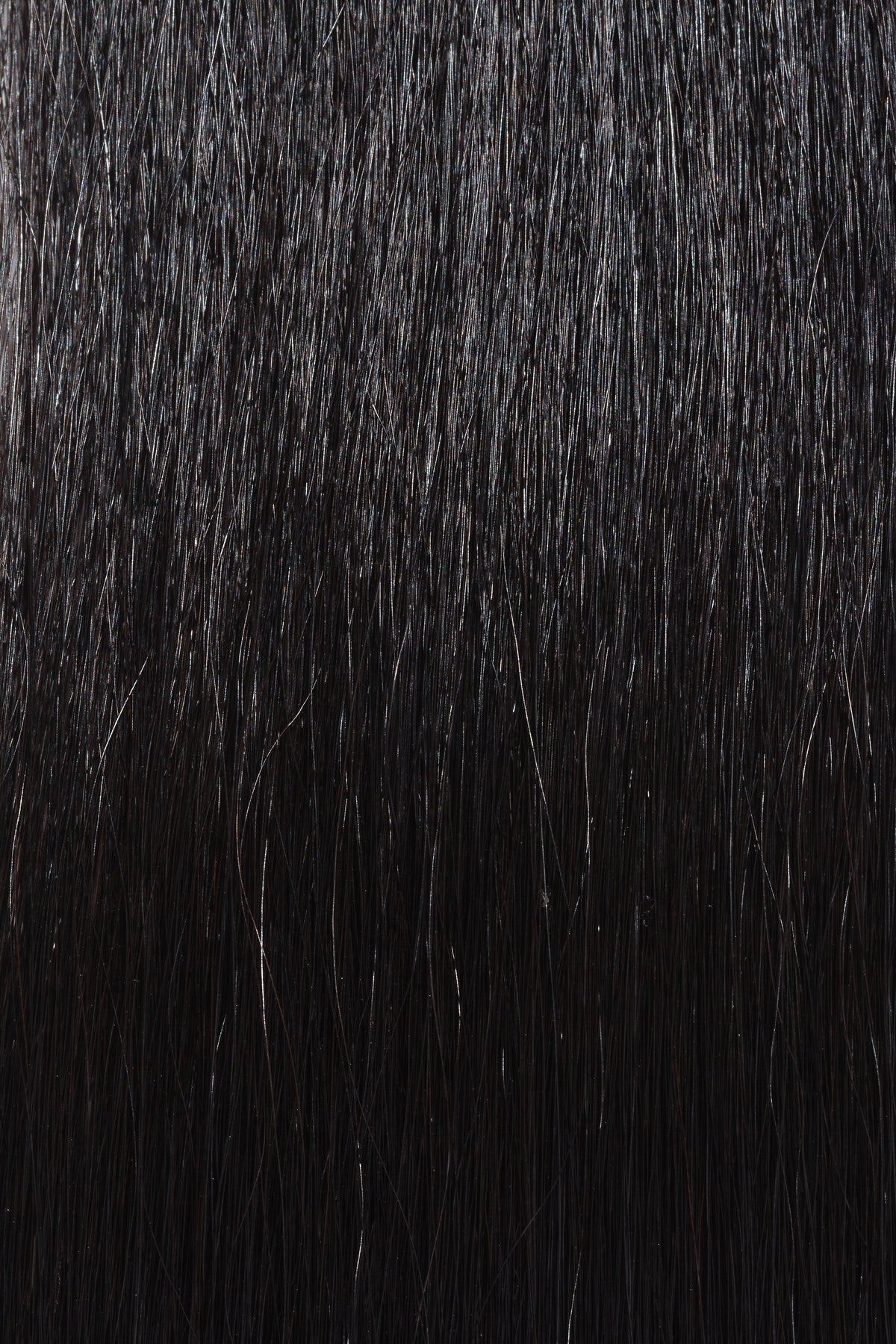 Jet Black #1 - Single Pack