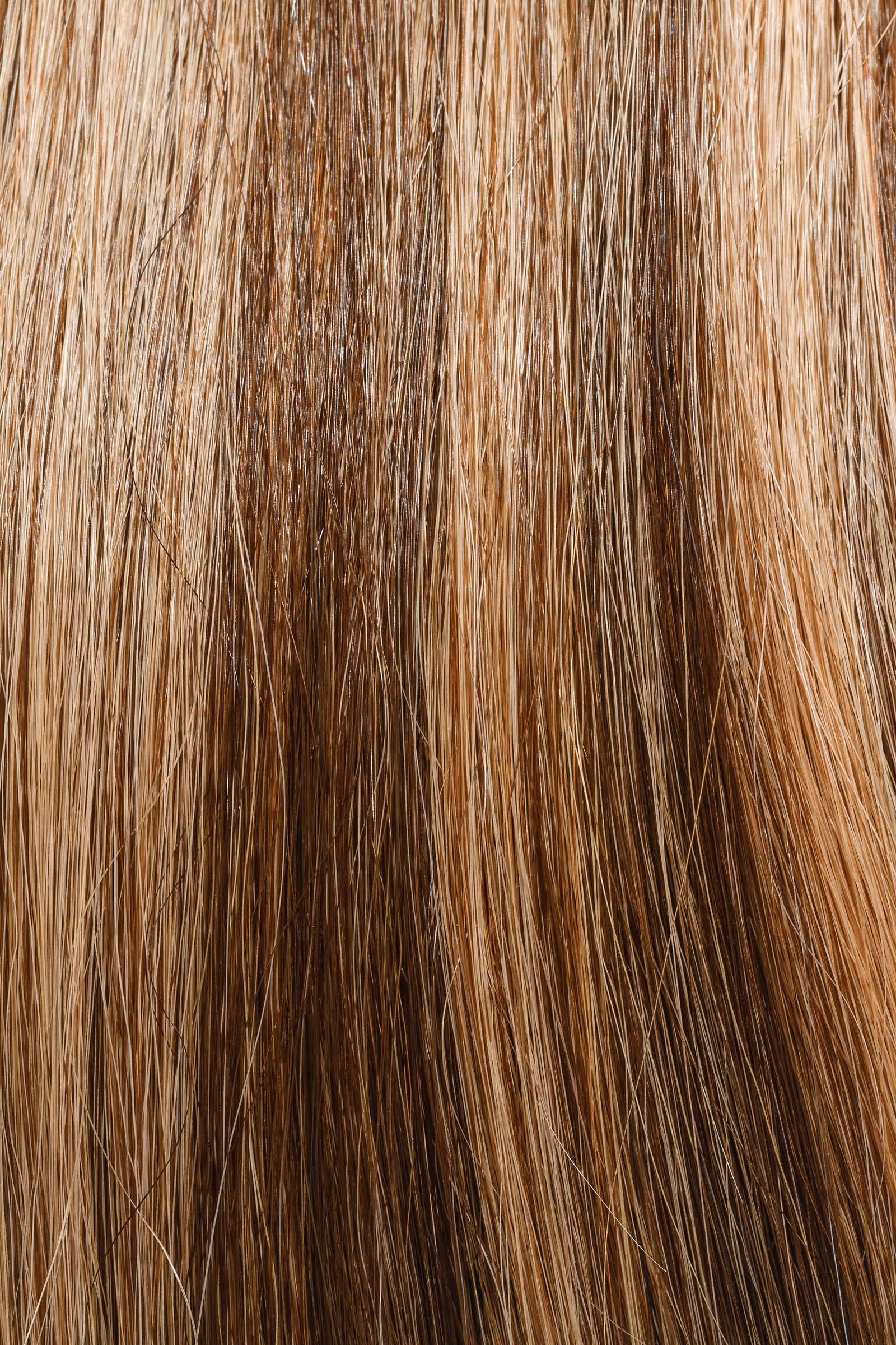 Chocolate Honey #3/27 - Single Pack