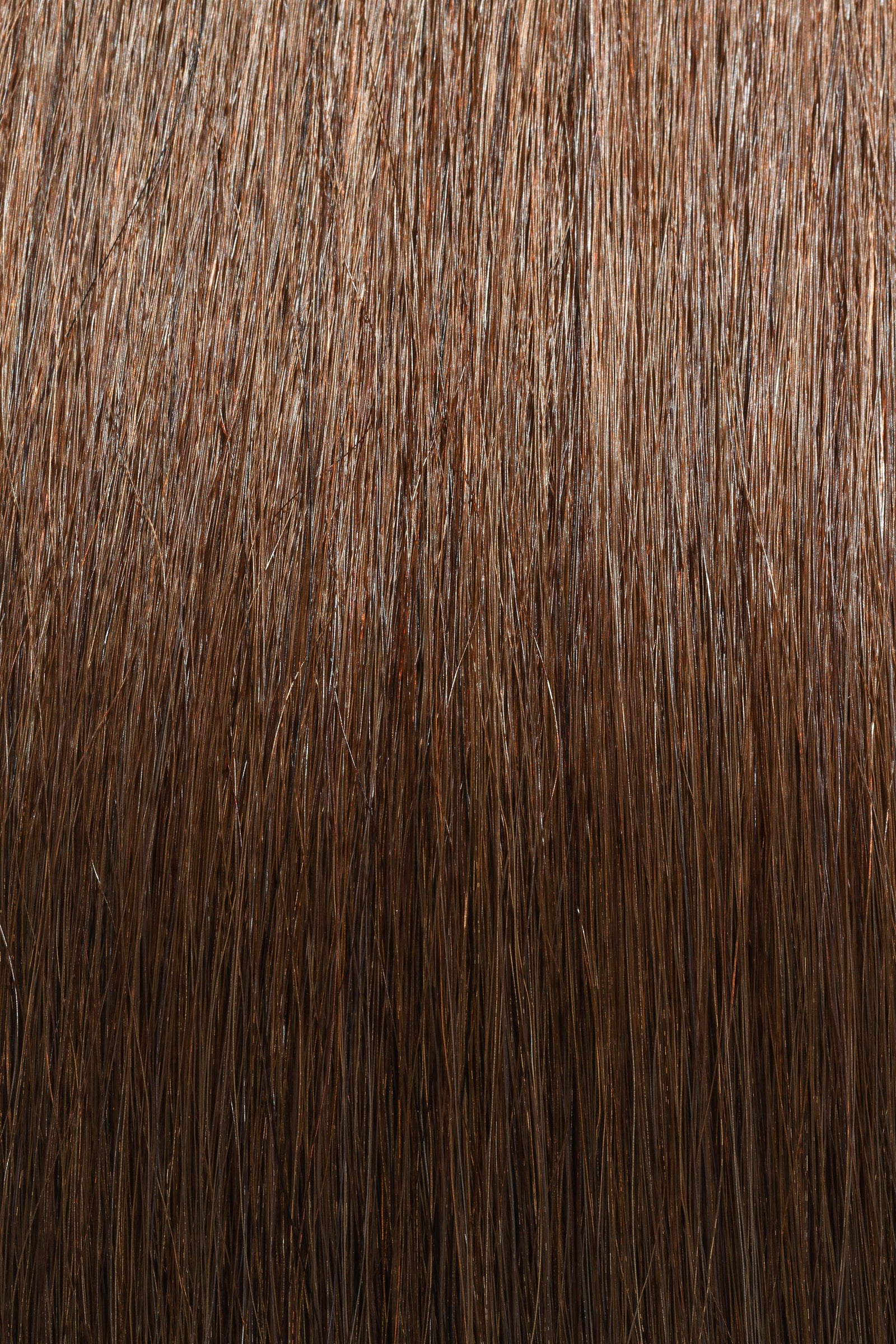 Medium Ash Brown #5 - Single Pack