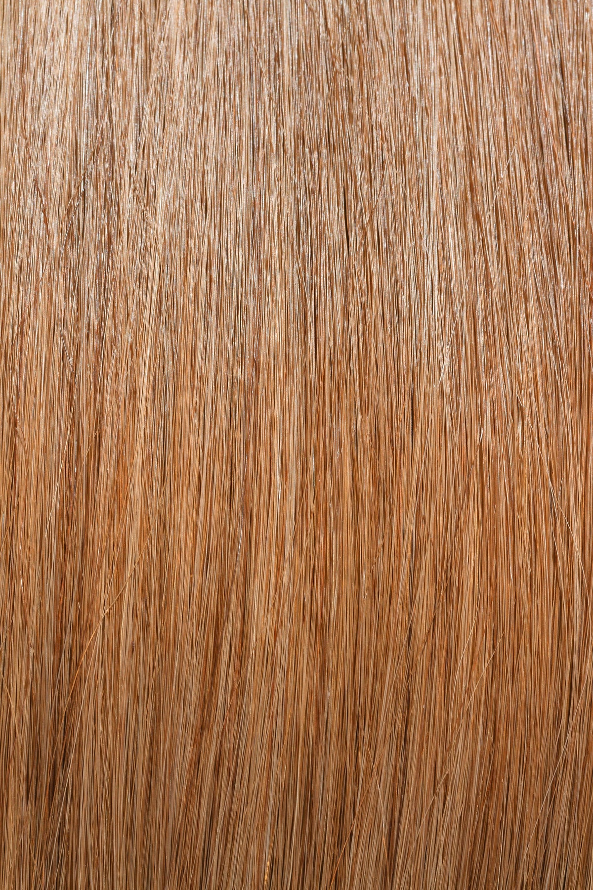 Dark Blonde #10 - Single Pack