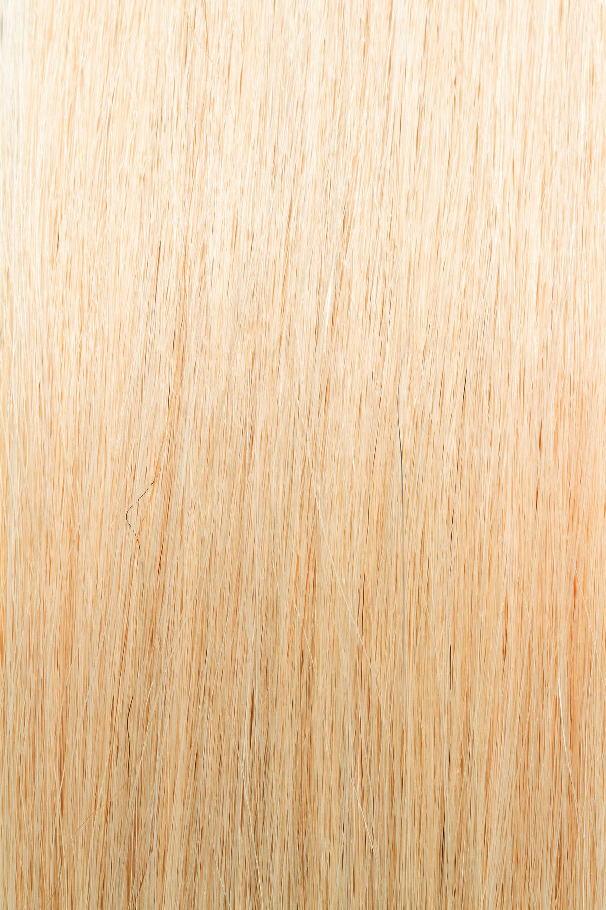 Golden Blonde #24 - Single Pack