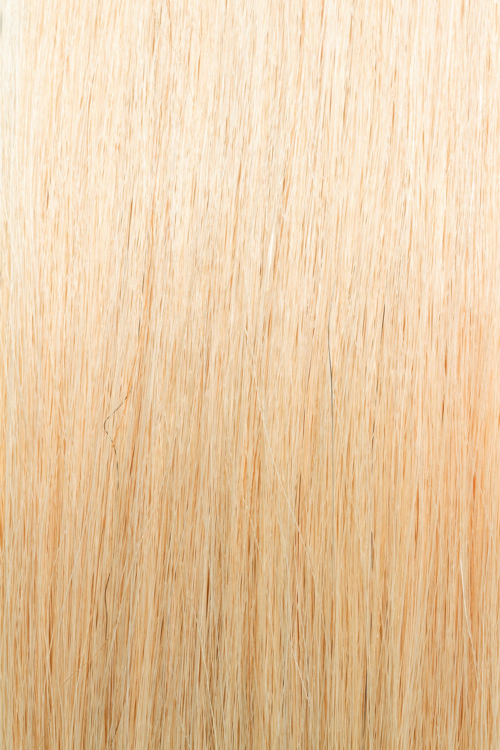 Golden Blonde #24 - Single Pack