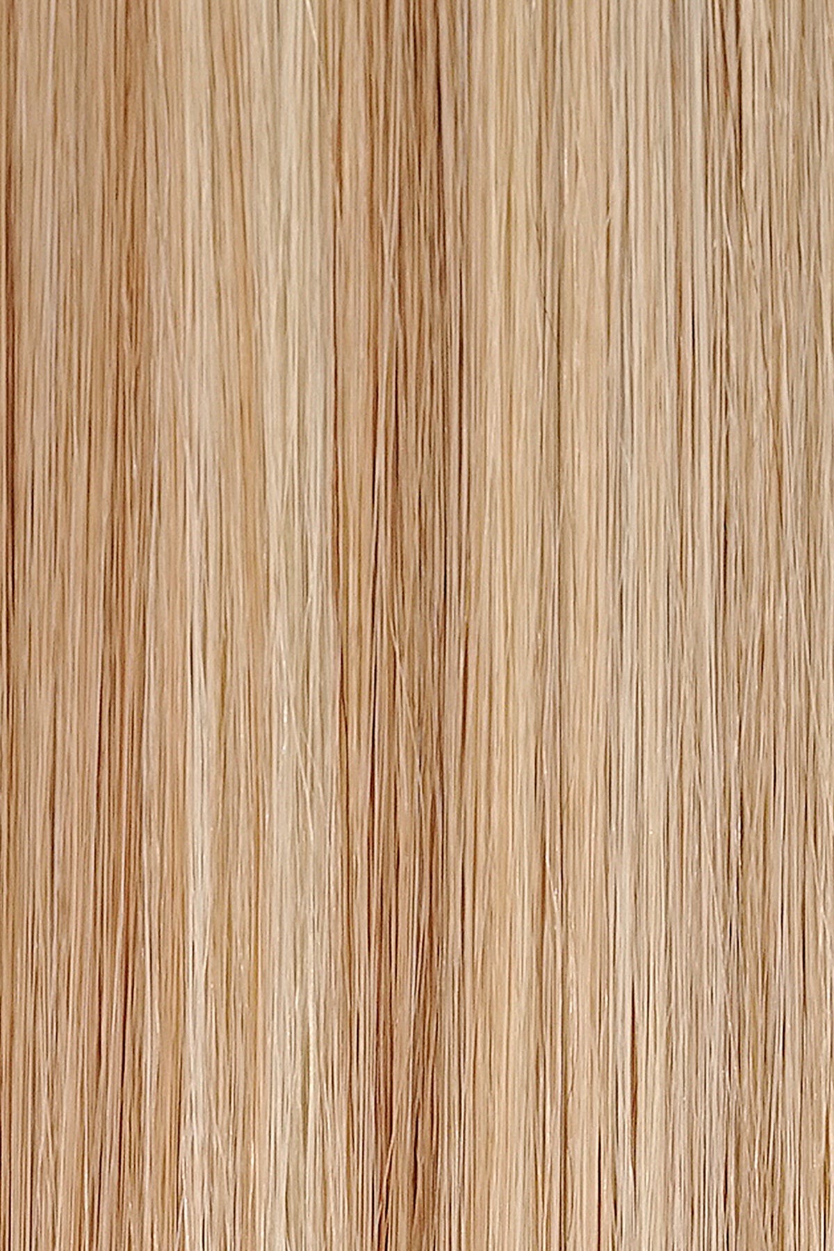 Sparkling Champagne #27/613 - Single Pack