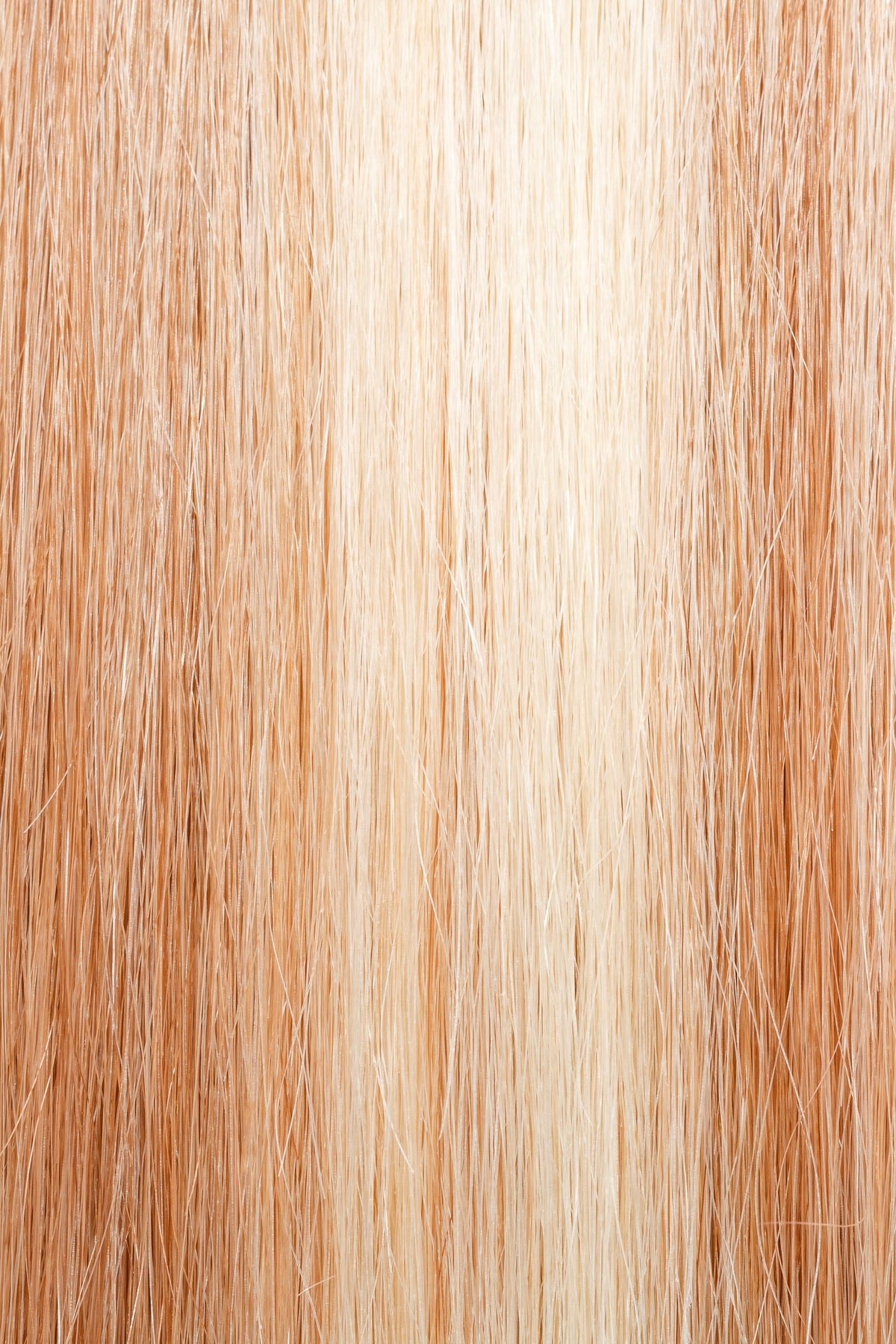 Sparkling Champagne #27/613 - Single Pack