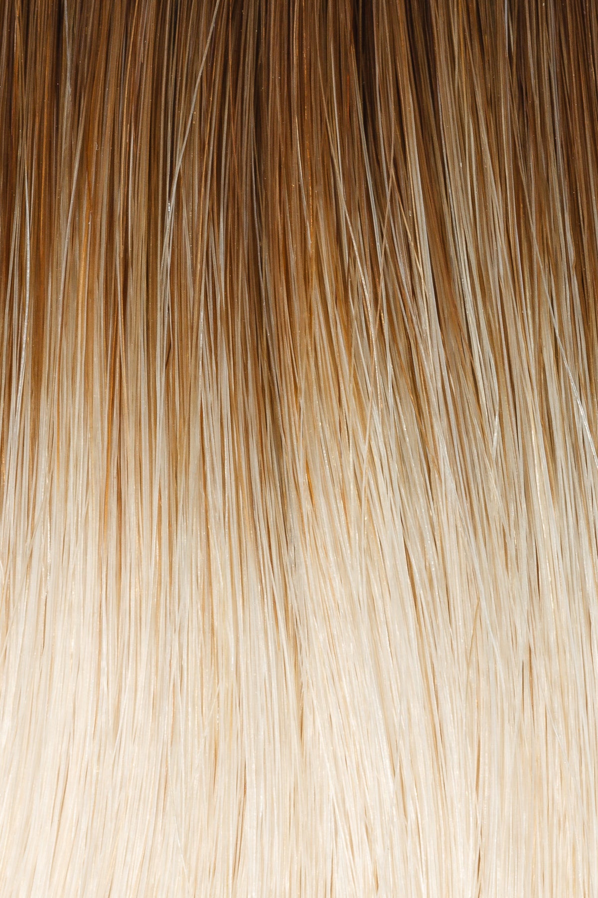 Rooted #4RT25 - Single Pack