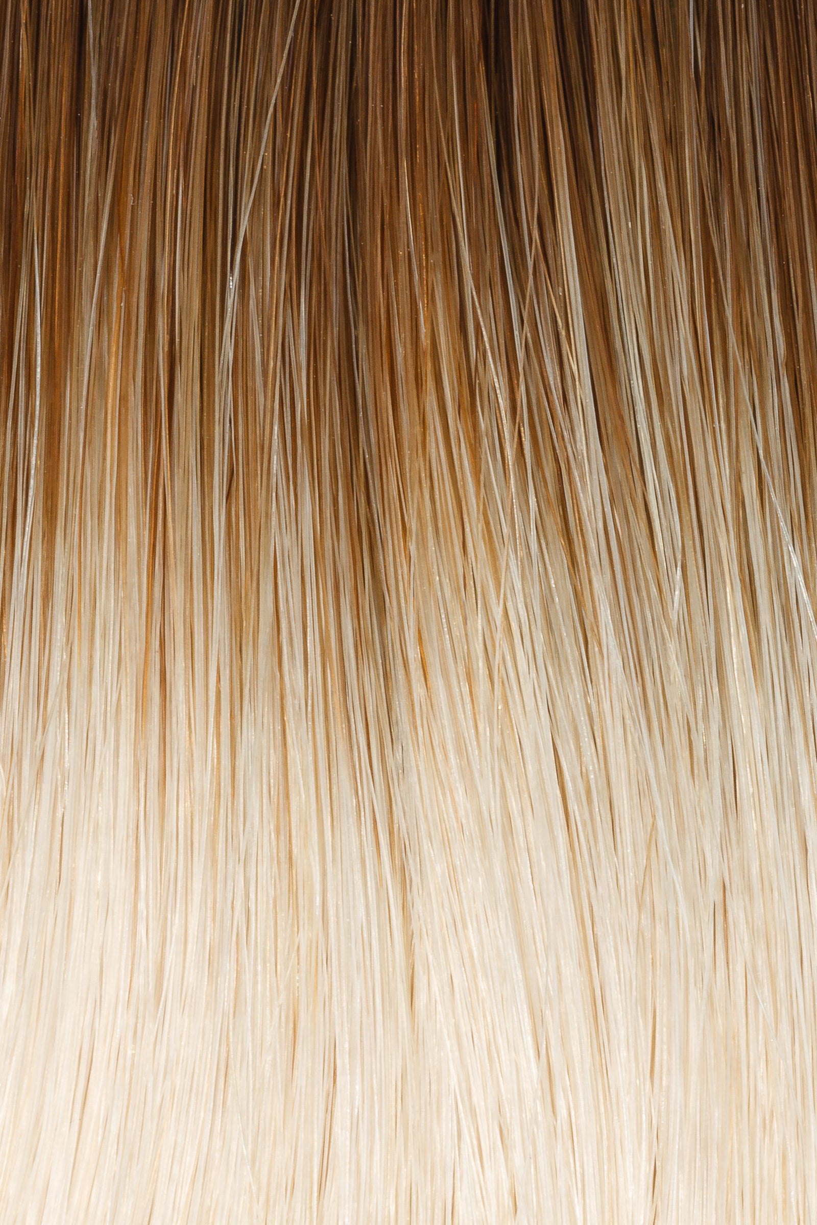 Rooted #4RT25 - Single Pack