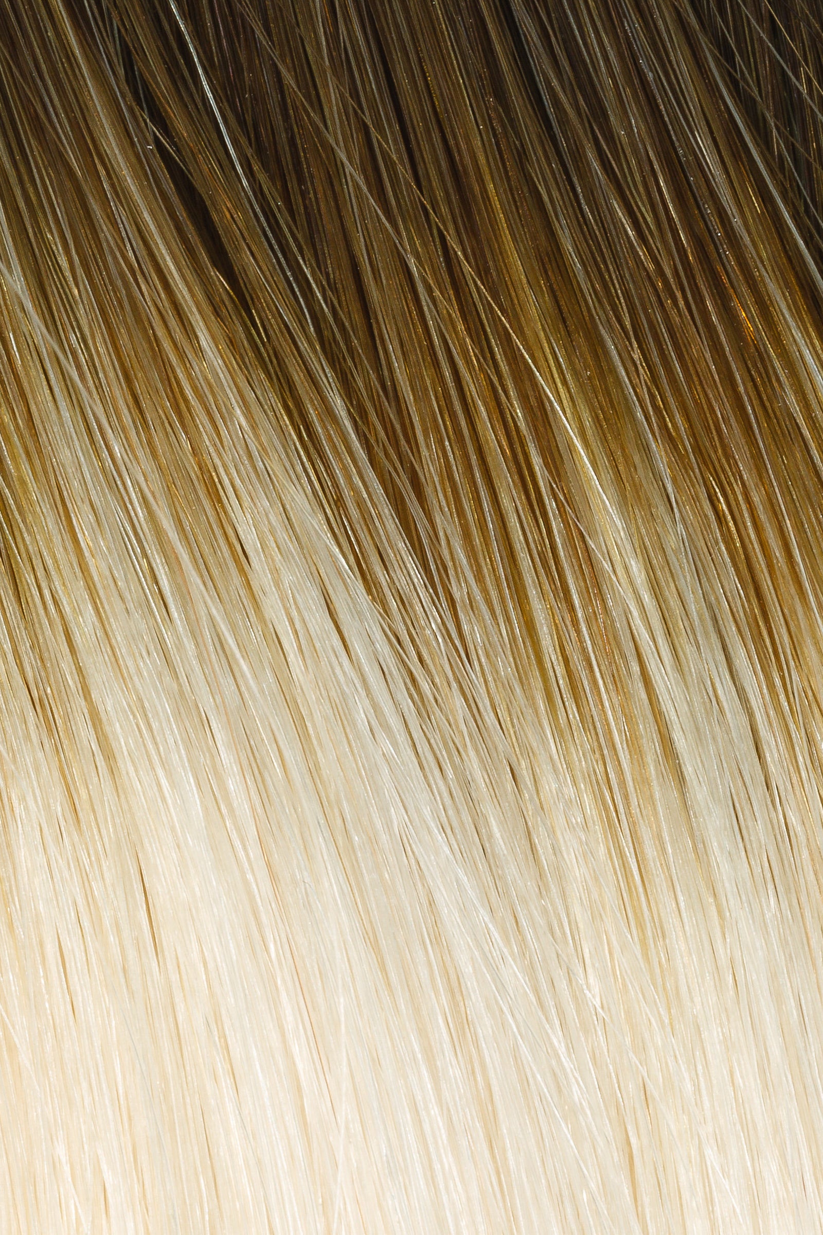 Rooted #5RT101 - Single Pack