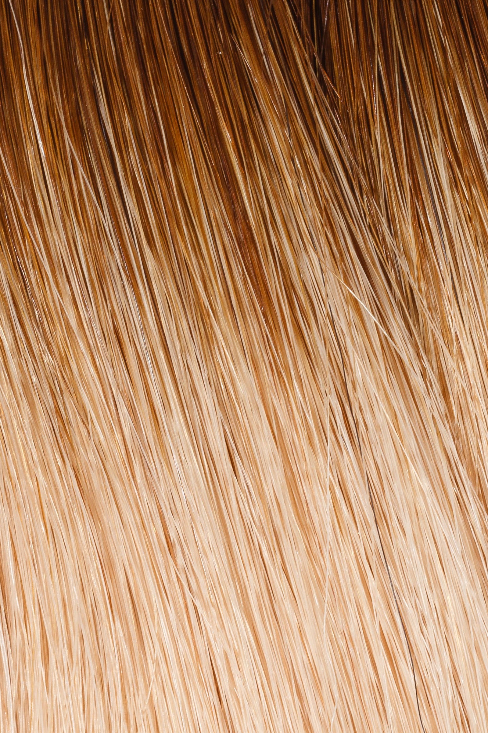 Rooted #3RT28 - Single Pack